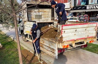 Gemlik'te Çevre Düzenleme Çalışmaları Devam Ediyor